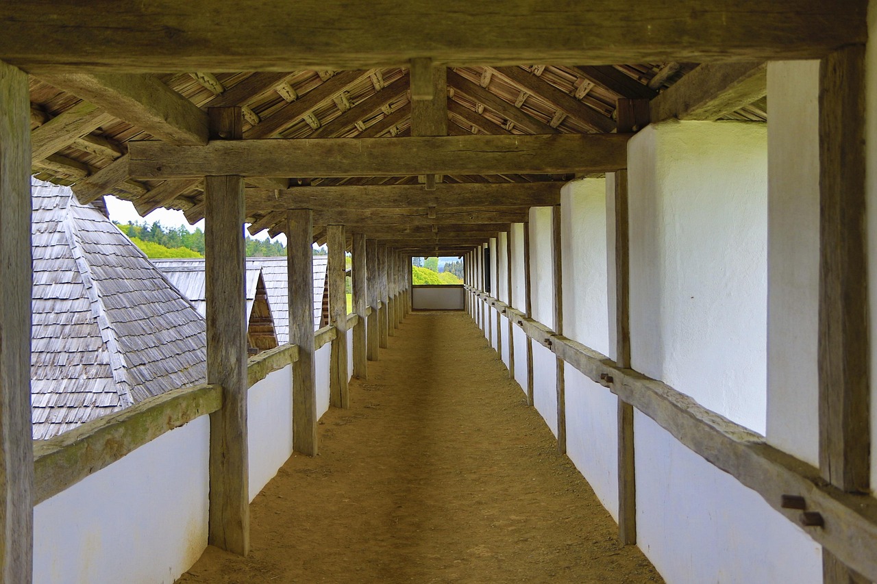 Keltische Kultur erleben – Tagesfahrt zur Heuneburg & zum Federsee