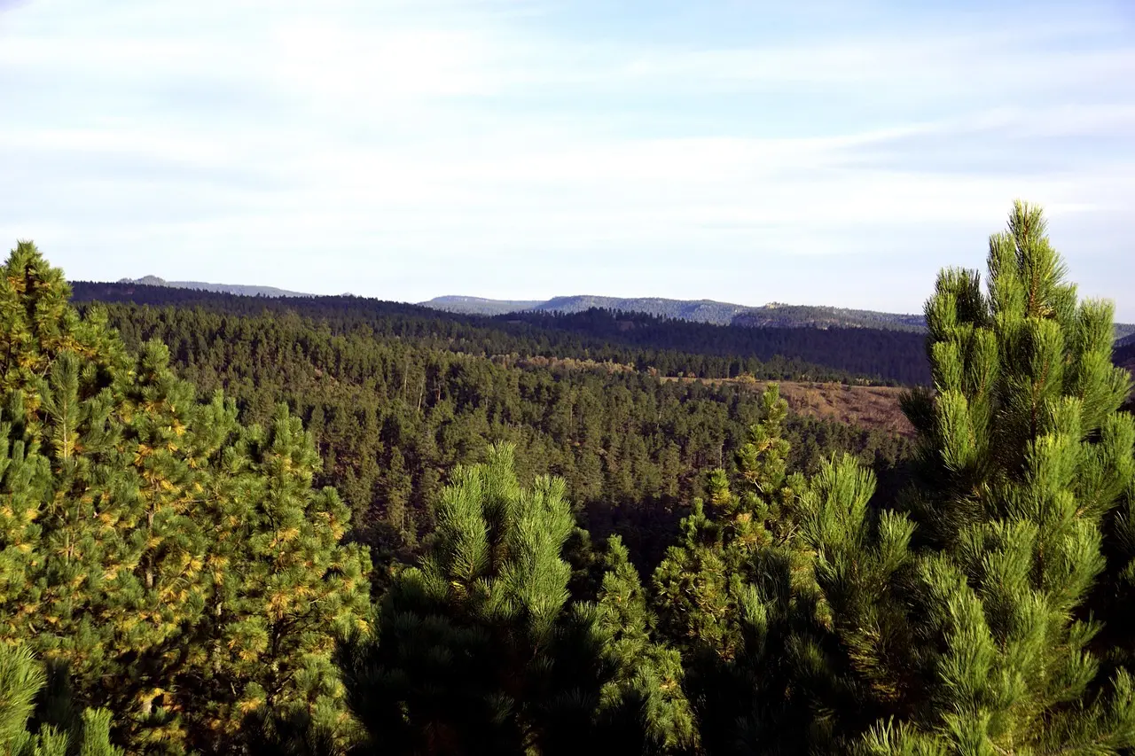 Schwarzwald-Panoramatour & Titisee